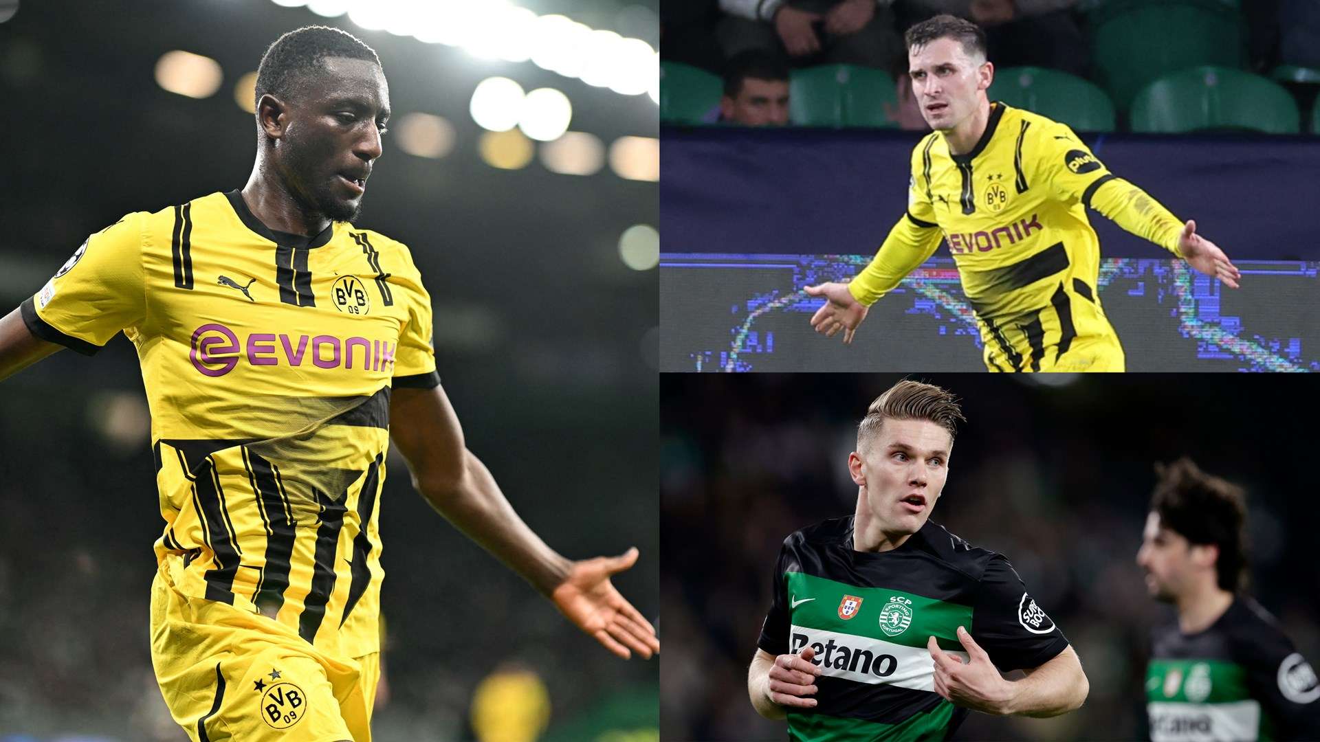 彰顯了亞洲 彰顯了亞洲